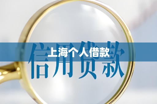 上海个人借款