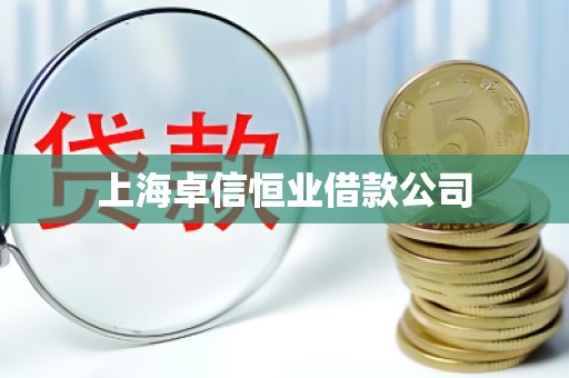 上海卓信恒业借款公司