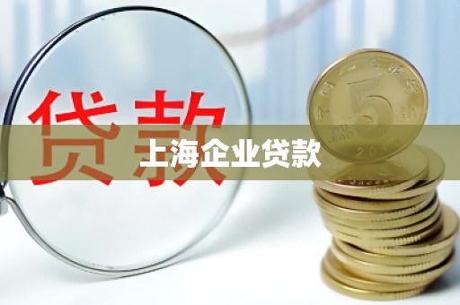上海企业贷款 上海企业贷款